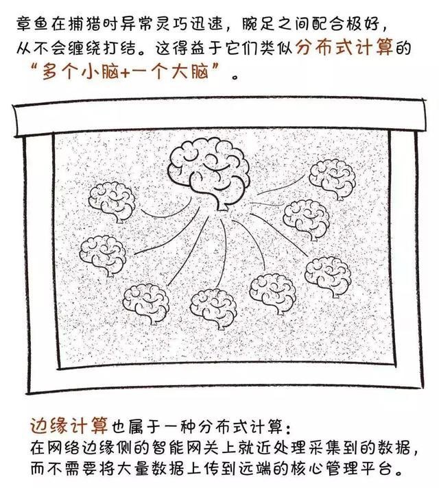 边缘计算分布.jpg